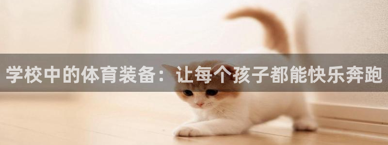 emc易倍体育官网下载平台注册：学校中的体育装备：让每个孩子