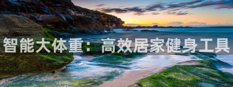 emc易倍体育官方正版app科技