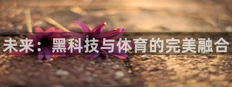 3377体育是正规的吗：未来：黑科技与体育的完美融合
