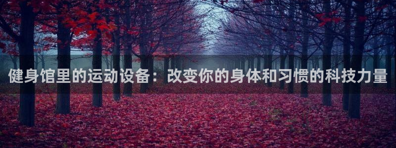 emc易倍体育官方正版app娱乐是那个系列的台子：健身馆里的