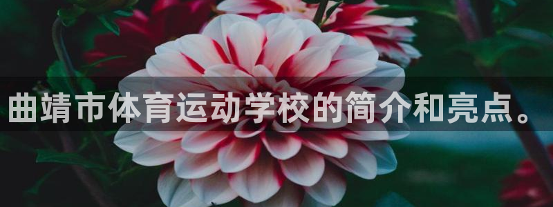 3377体育app官方下载：曲靖市体育运动学校的简介和亮点。