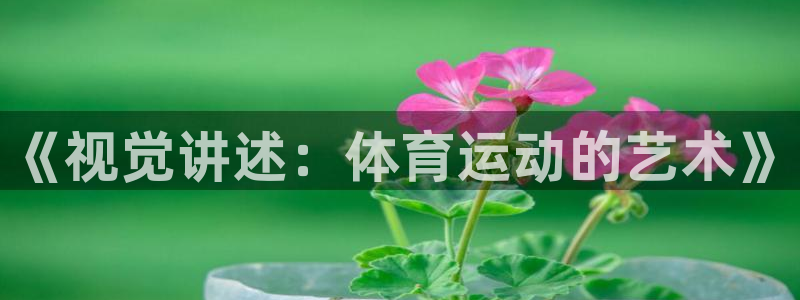 3377体育：《视觉讲述：体育运动的艺术》