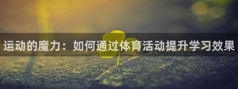 3377体育官网入口网页版：运动的魔力：如何通过体育活动提升学习效果