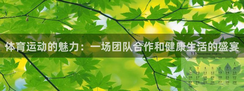 3377体育(中国)官方网站：体育运动的魅力：一场团队合作和健康生活的盛宴