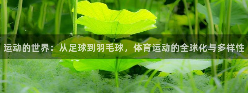 3377体育app官网下载地址：运动的世界：从足球到羽毛球，体育运动的全球化与多样性