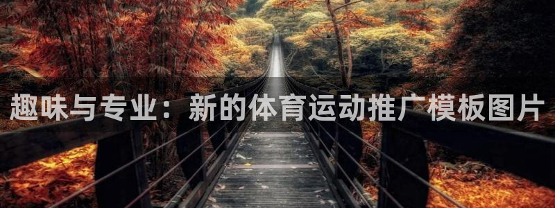3377体育官网下载：趣味与专业：新的体育运动推广模板图片
