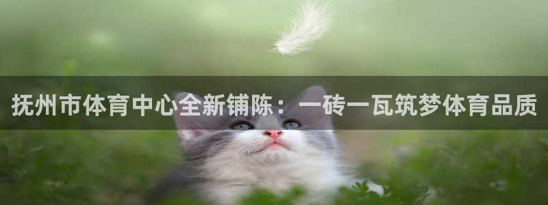 3377体育靠谱吗：抚州市体育中心全新铺陈：一砖一瓦筑梦体育品质
