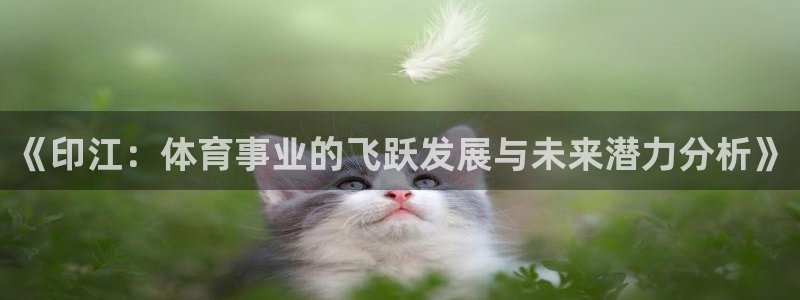 3377体育官网入口网页版：《印江：体育事业的飞跃发展与未来潜力分析》