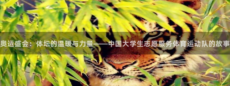 3377体育平台：奥运盛会：体坛的温暖与力量——中国大学生志愿服务体育运动队的故事