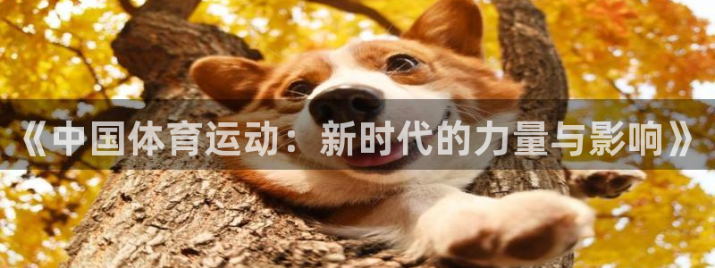 3377体育官网入口下载最新：《中国体育运动：新时代的力量与影响》