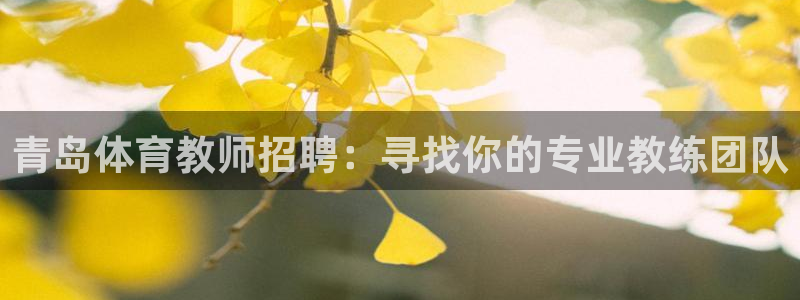 3377体育在线登录官网入口：青岛体育教师招聘：寻找你的专业教练团队